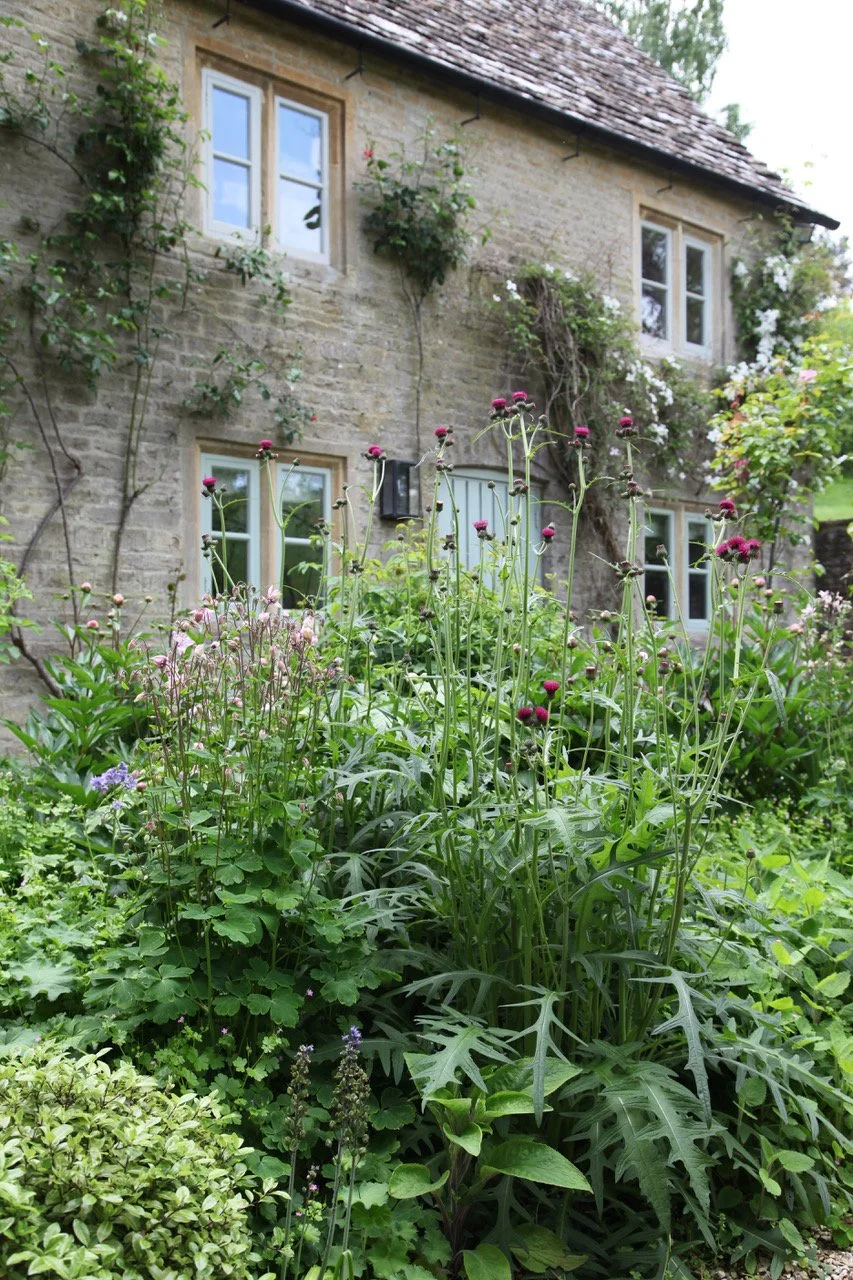 Cotswolds